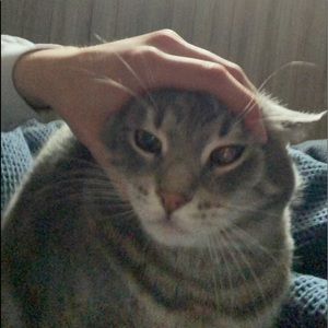 Meet your Posher, Landon